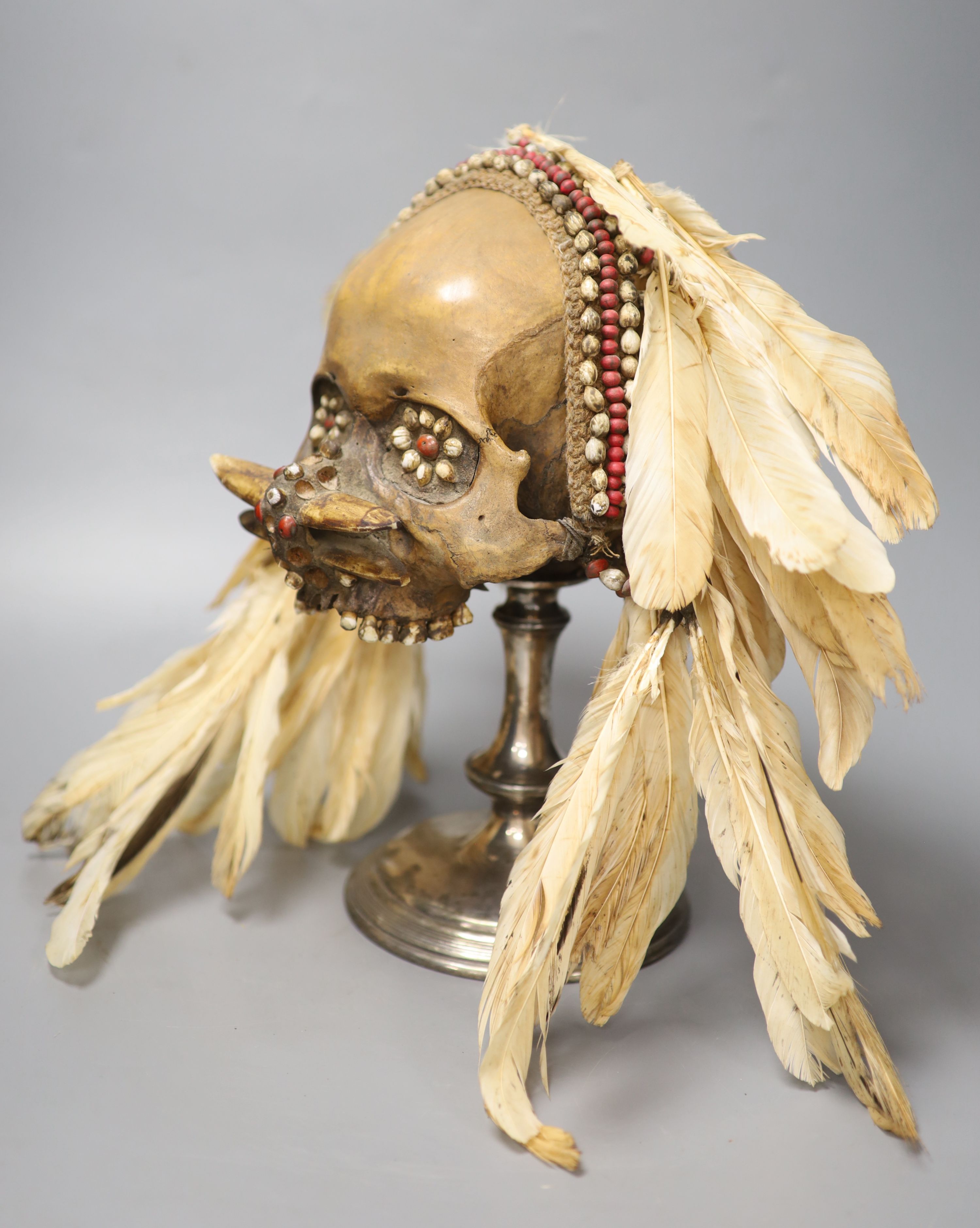 An Asmat ancestral skull, with beaded eyes and feather head-dress on stand